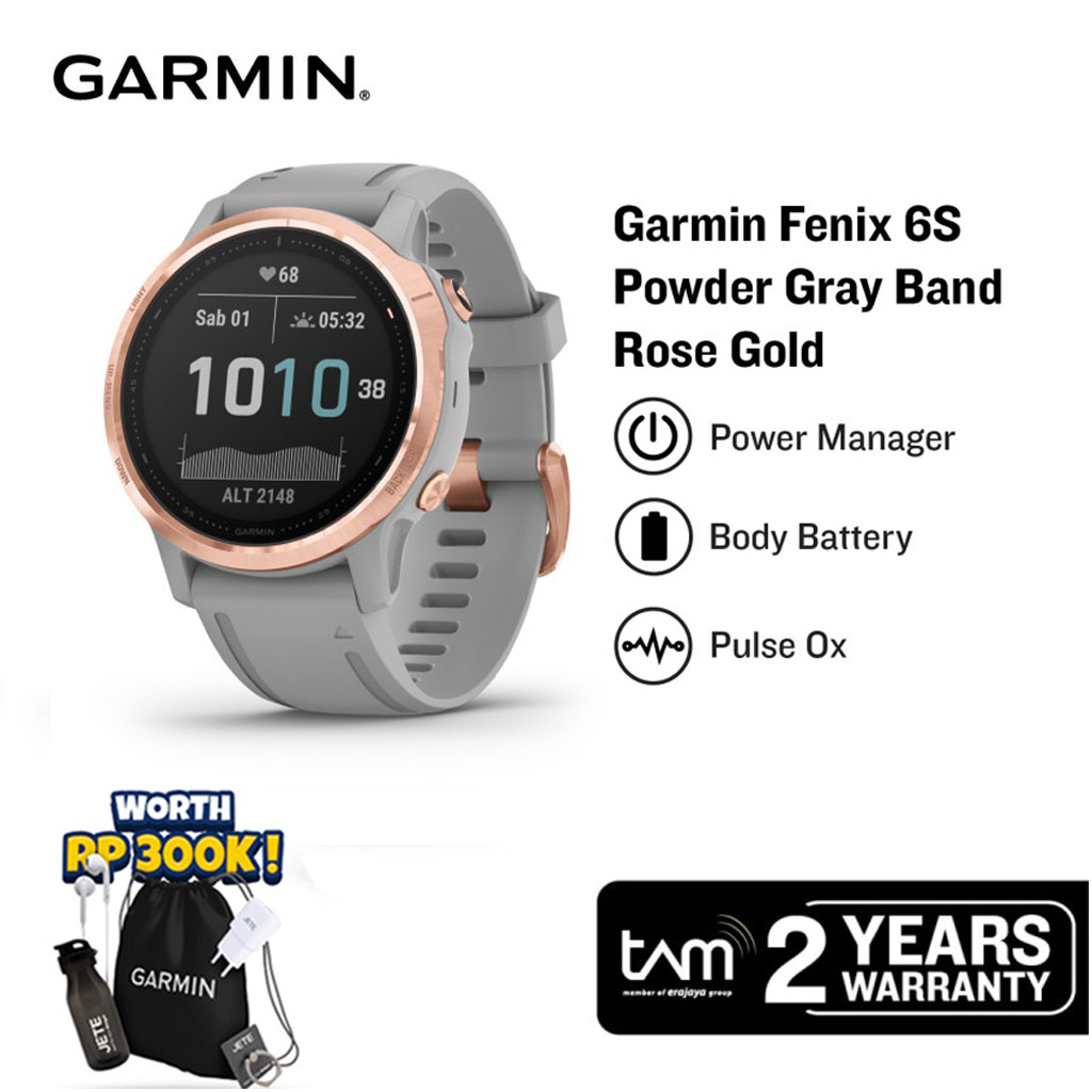 Garmin fenix 6S Rose Gold-tone with Powder Gray Band - Doran Gadget