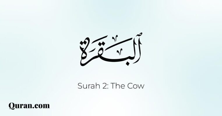 Quran.com