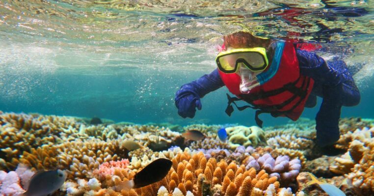 Perbedaan Snorkeling dan Diving (2)