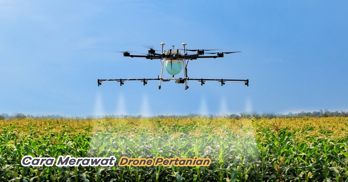 merawat drone pertanian