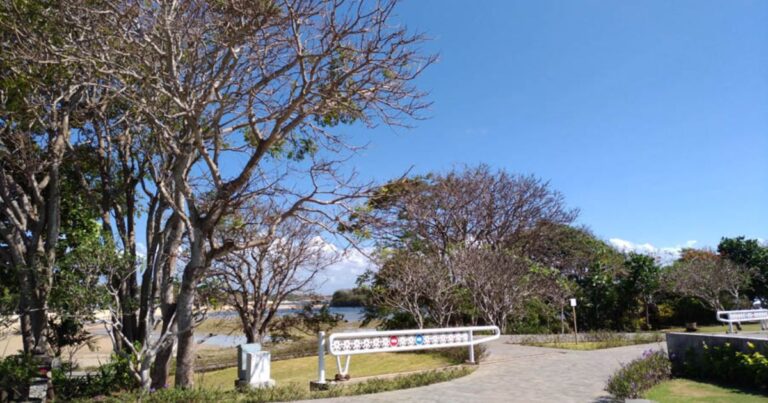 7 Tempat Jogging di Bali dengan Pemandangan Estetik!