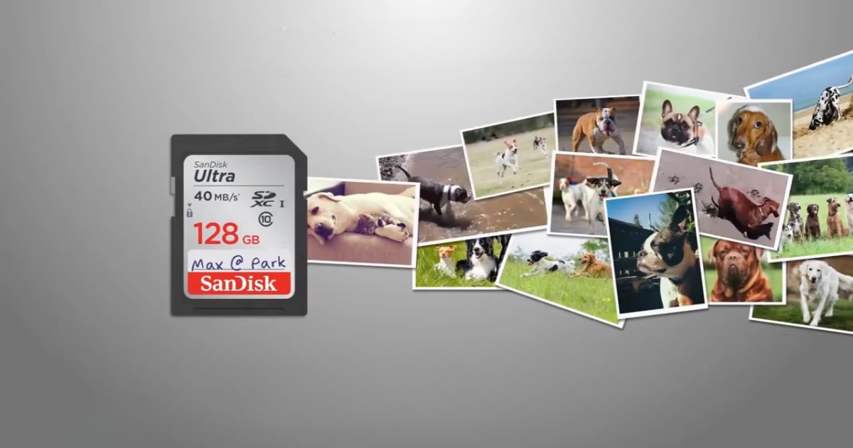 SD Card SanDisk ULTRA - Rasakan Transfer Data yang Lebih Cepat