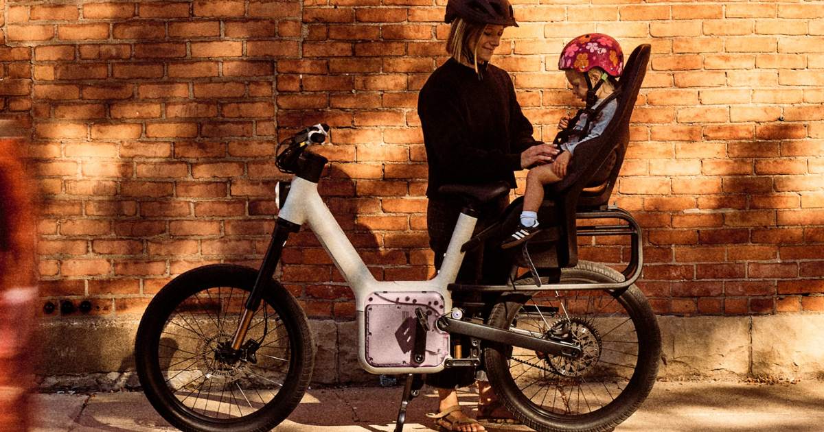 also tm-b e-bike DreamRide